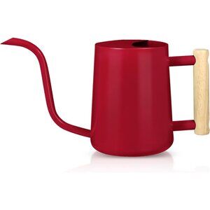 Watering Can Indoor Plants, 35oz Small Stainless Steel Metal Watering Can Modern